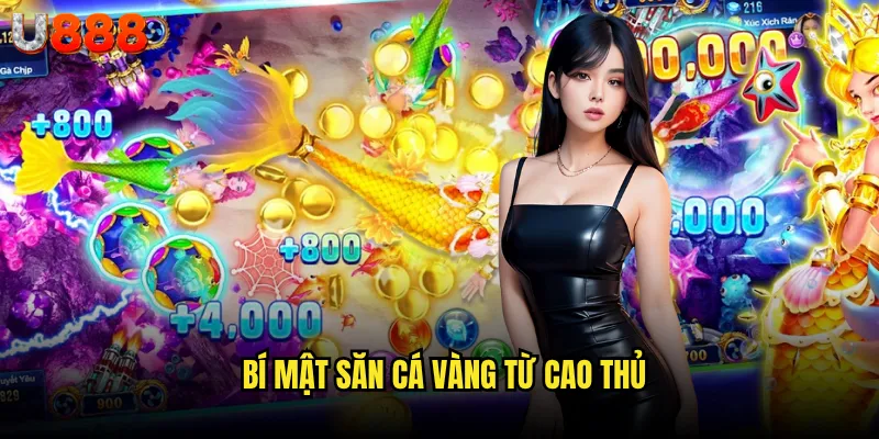 Bắn cá vàng U888 có phải là con đường ngắn nhất đến triệu phú? 3 Bí mật săn cá vàng từ cao thủ
