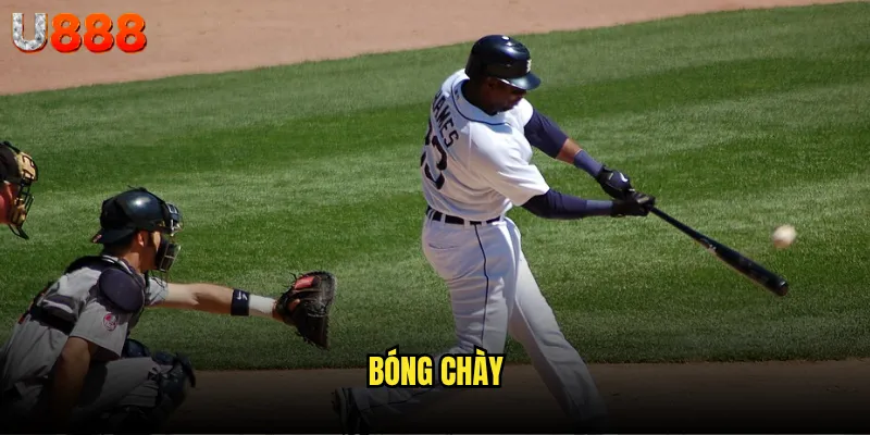 bóng chày
