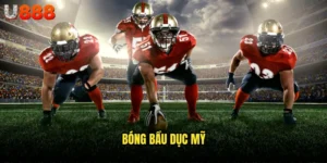 bóng bầu dục Mỹ